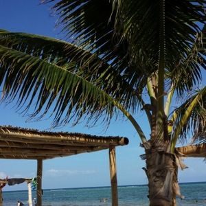 Meet your Posher, Dayna